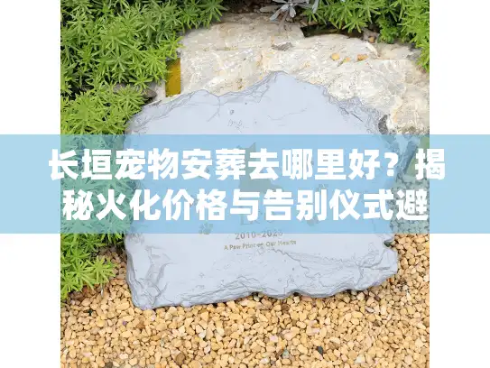 长垣宠物安葬去哪里好？揭秘火化价格与告别仪式避坑实录
