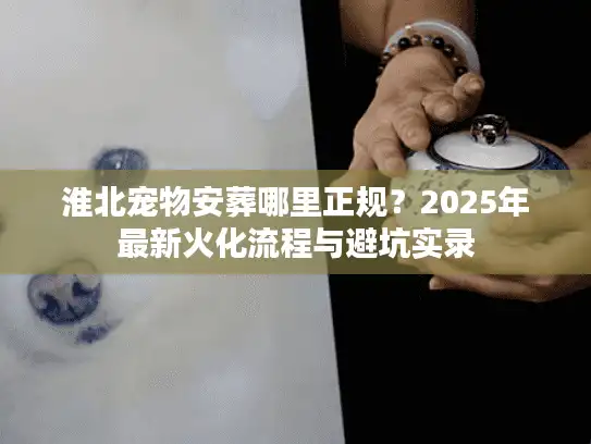 淮北宠物安葬哪里正规？2025年最新火化流程与避坑实录
