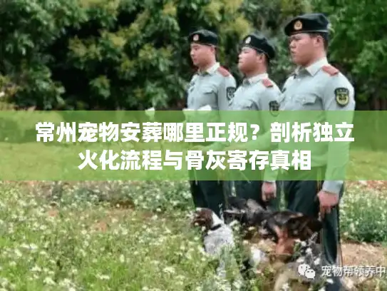 常州宠物安葬哪里正规？剖析独立火化流程与骨灰寄存真相