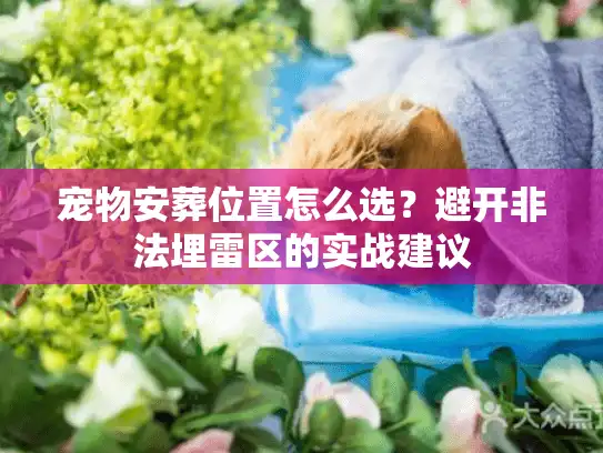 宠物安葬位置怎么选？避开非法埋雷区的实战建议