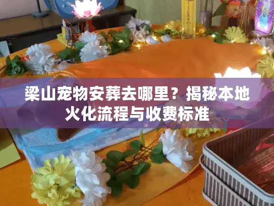 梁山宠物安葬去哪里？揭秘本地火化流程与收费标准