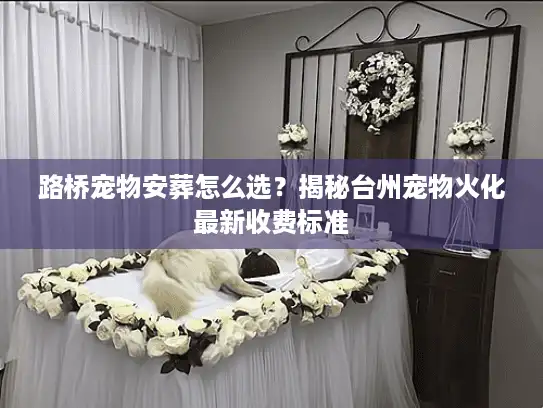 路桥宠物安葬怎么选？揭秘台州宠物火化最新收费标准