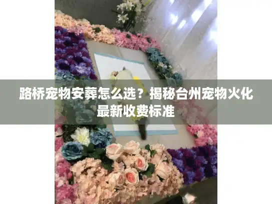 路桥宠物安葬怎么选？揭秘台州宠物火化最新收费标准