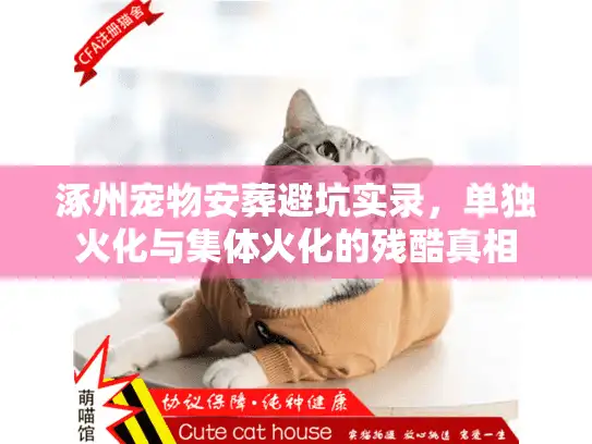 涿州宠物安葬避坑实录，单独火化与集体火化的残酷真相
