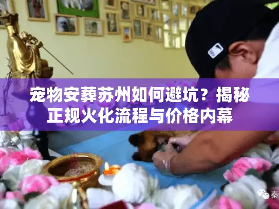 宠物安葬苏州如何避坑？揭秘正规火化流程与价格内幕