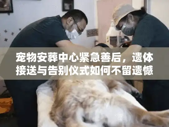 宠物安葬中心紧急善后，遗体接送与告别仪式如何不留遗憾？