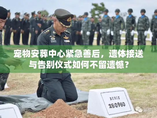 宠物安葬中心紧急善后，遗体接送与告别仪式如何不留遗憾？