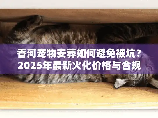 香河宠物安葬如何避免被坑？2025年最新火化价格与合规流程