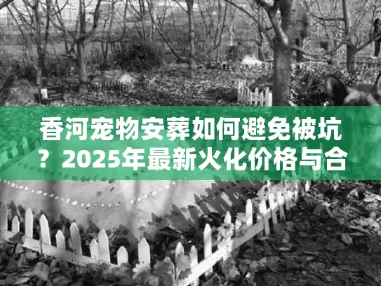 香河宠物安葬如何避免被坑？2025年最新火化价格与合规流程