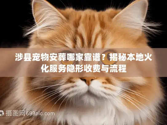 涉县宠物安葬哪家靠谱？揭秘本地火化服务隐形收费与流程
