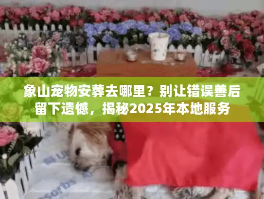 象山宠物安葬去哪里？别让错误善后留下遗憾，揭秘2025年本地服务