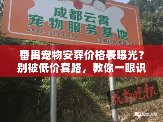 番禺宠物安葬价格表曝光？别被低价套路，教你一眼识破真火化