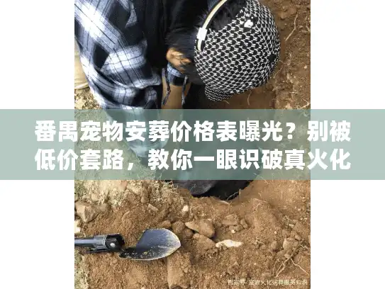 番禺宠物安葬价格表曝光？别被低价套路，教你一眼识破真火化