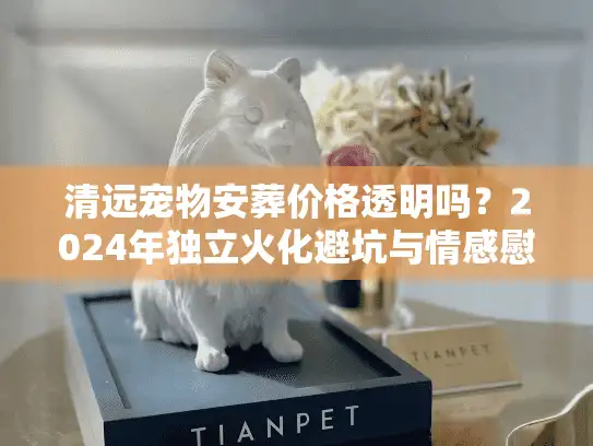 清远宠物安葬价格透明吗？2024年独立火化避坑与情感慰藉方案