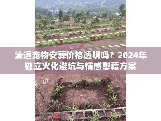 清远宠物安葬价格透明吗？2024年独立火化避坑与情感慰藉方案