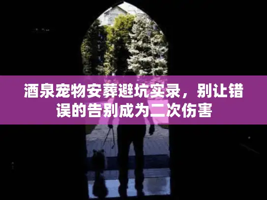 酒泉宠物安葬避坑实录，别让错误的告别成为二次伤害