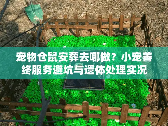 宠物仓鼠安葬去哪做？小宠善终服务避坑与遗体处理实况