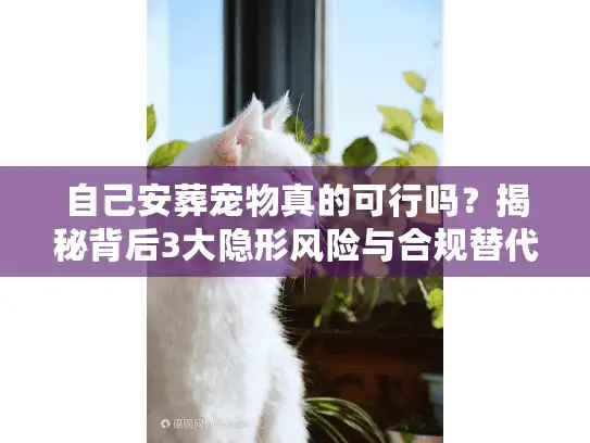 自己安葬宠物真的可行吗？揭秘背后3大隐形风险与合规替代方案