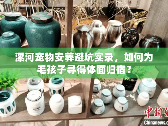 漯河宠物安葬避坑实录，如何为毛孩子寻得体面归宿？