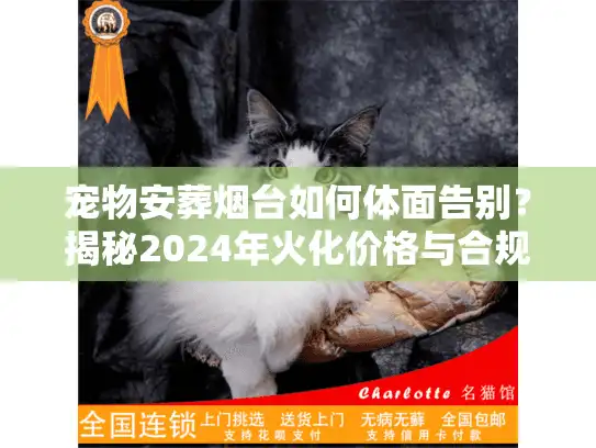 宠物安葬烟台如何体面告别？揭秘2024年火化价格与合规流程