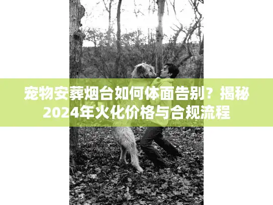 宠物安葬烟台如何体面告别？揭秘2024年火化价格与合规流程