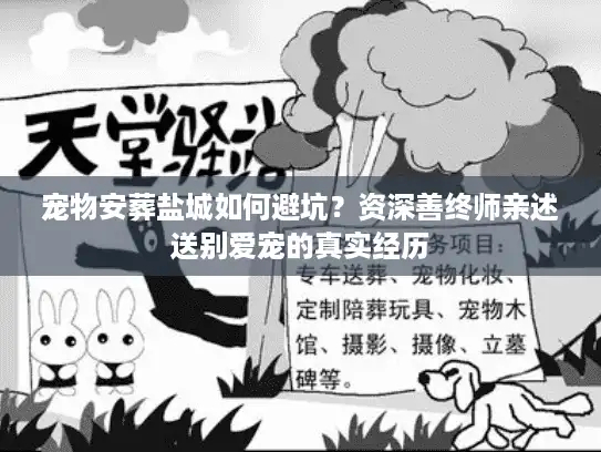宠物安葬盐城如何避坑？资深善终师亲述送别爱宠的真实经历