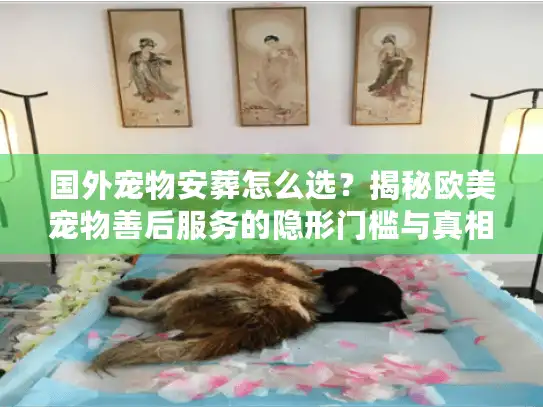 国外宠物安葬怎么选？揭秘欧美宠物善后服务的隐形门槛与真相