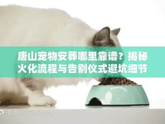 唐山宠物安葬哪里靠谱？揭秘火化流程与告别仪式避坑细节