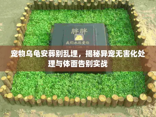 宠物乌龟安葬别乱埋，揭秘异宠无害化处理与体面告别实战