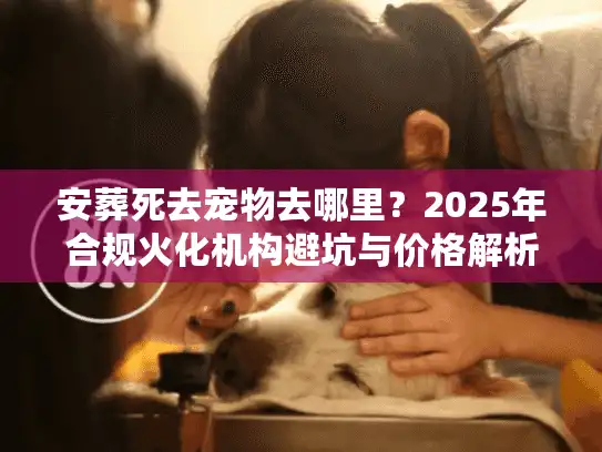 安葬死去宠物去哪里？2025年合规火化机构避坑与价格解析
