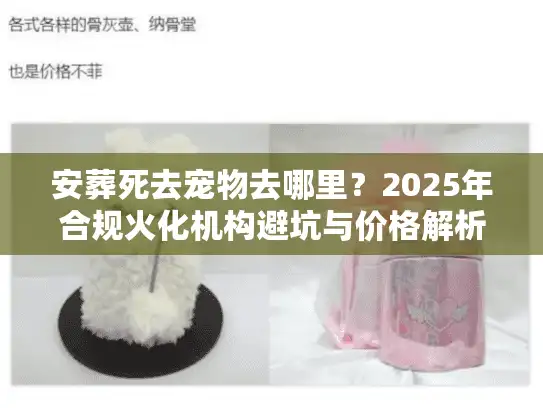 安葬死去宠物去哪里？2025年合规火化机构避坑与价格解析