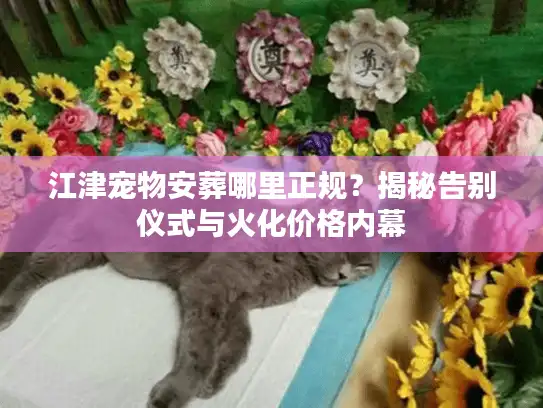 江津宠物安葬哪里正规？揭秘告别仪式与火化价格内幕