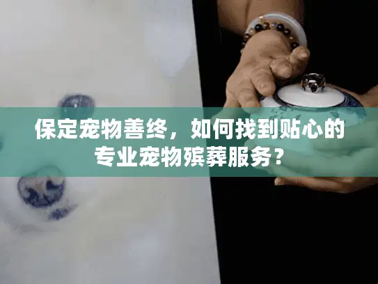 保定宠物善终，如何找到贴心的专业宠物殡葬服务？
