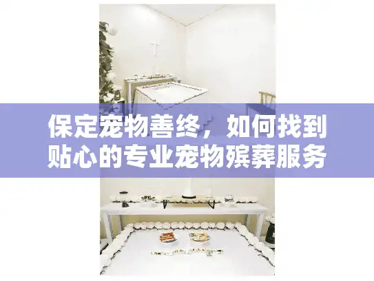保定宠物善终，如何找到贴心的专业宠物殡葬服务？
