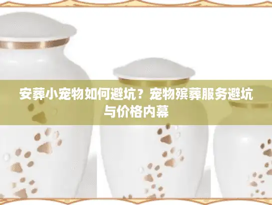 安葬小宠物如何避坑？宠物殡葬服务避坑与价格内幕