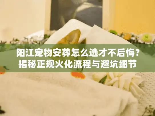 阳江宠物安葬怎么选才不后悔？揭秘正规火化流程与避坑细节