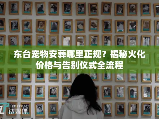 东台宠物安葬哪里正规？揭秘火化价格与告别仪式全流程