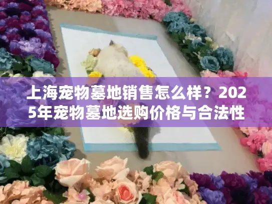 上海宠物墓地销售怎么样？2025年宠物墓地选购价格与合法性分析