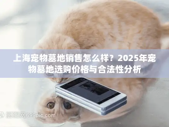 上海宠物墓地销售怎么样？2025年宠物墓地选购价格与合法性分析