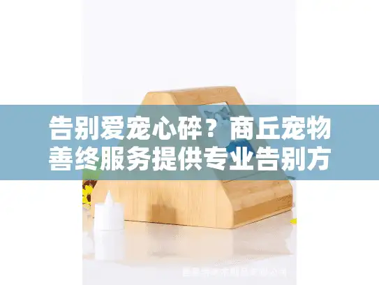 告别爱宠心碎？商丘宠物善终服务提供专业告别方式