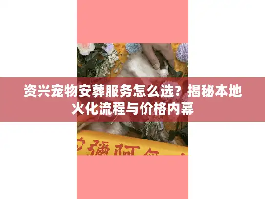 资兴宠物安葬服务怎么选？揭秘本地火化流程与价格内幕