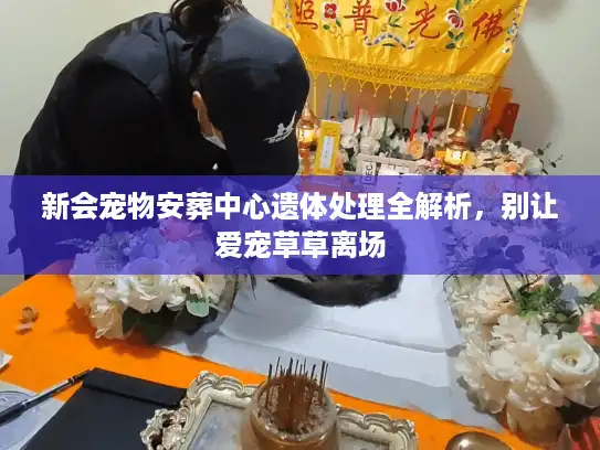 新会宠物安葬中心遗体处理全解析，别让爱宠草草离场