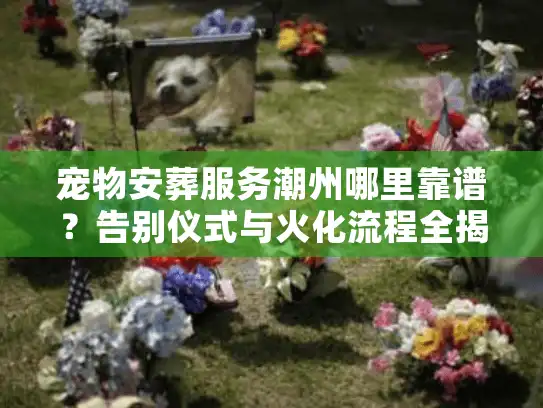 宠物安葬服务潮州哪里靠谱？告别仪式与火化流程全揭秘