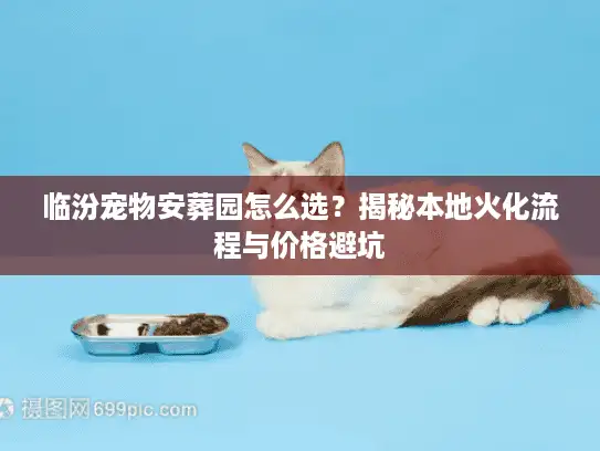 临汾宠物安葬园怎么选？揭秘本地火化流程与价格避坑
