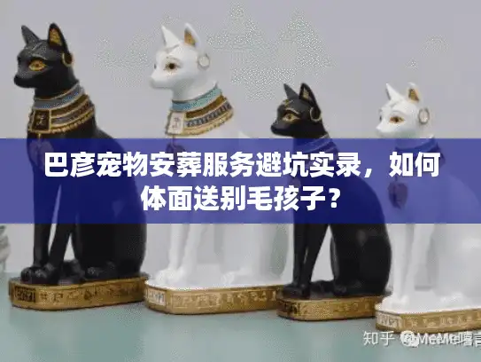 巴彦宠物安葬服务避坑实录，如何体面送别毛孩子？