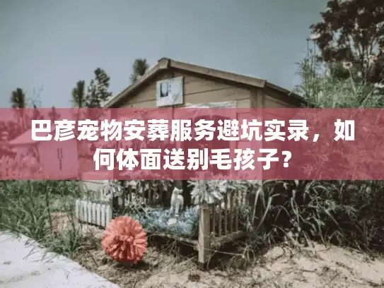 巴彦宠物安葬服务避坑实录，如何体面送别毛孩子？