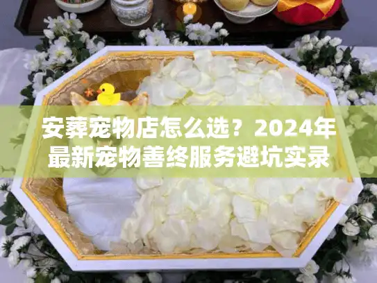 安葬宠物店怎么选？2024年最新宠物善终服务避坑实录