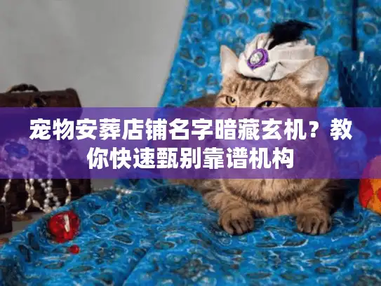 宠物安葬店铺名字暗藏玄机？教你快速甄别靠谱机构