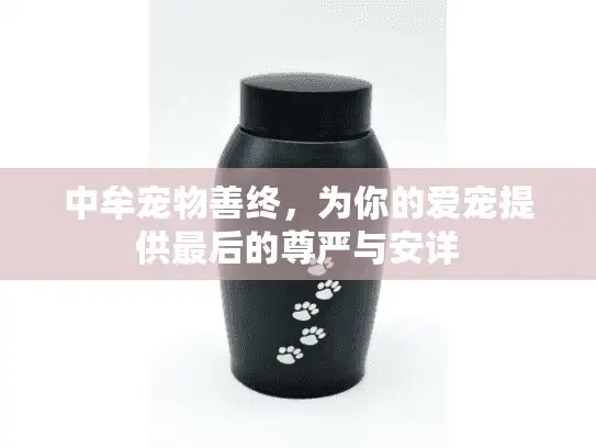 中牟宠物善终，为你的爱宠提供最后的尊严与安详
