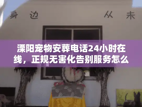 溧阳宠物安葬电话24小时在线，正规无害化告别服务怎么选？